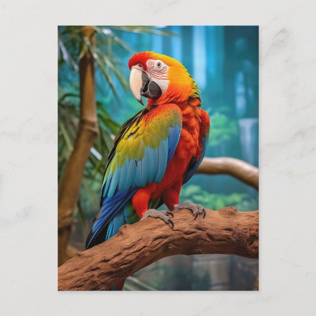 Colourful Parrot Postcard (Front)
