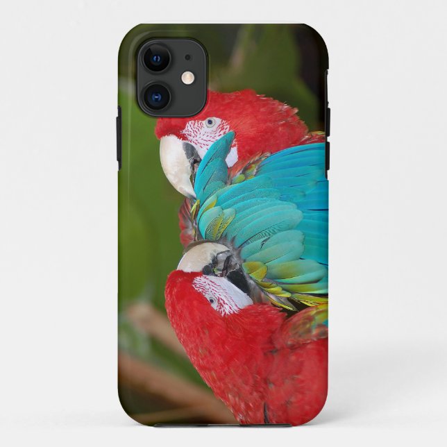 Colourful parrot print iphone case cover (Back)