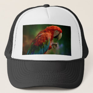 Colourful Parrot Trucker Hat