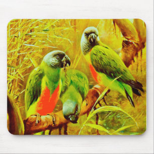 Colourful Parrots Mouse Pad