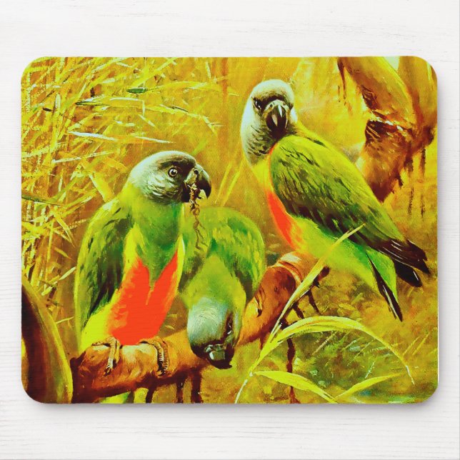 Colourful Parrots Mouse Pad (Front)