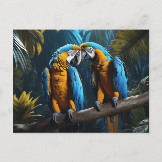 Colourful Parrots Postcard (Front)