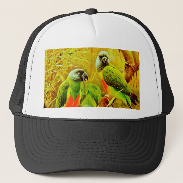 Colourful Parrots Trucker Hat (Front)