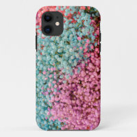 Colourful Pastel Gypsophila Baby Breath Flowers Pa