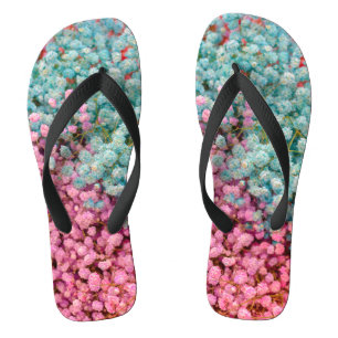Colourful Pastel Gypsophila Baby Breath Flowers Pa Jandals