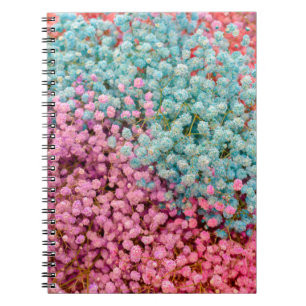 Colourful Pastel Gypsophila Baby Breath Flowers Pa Notebook