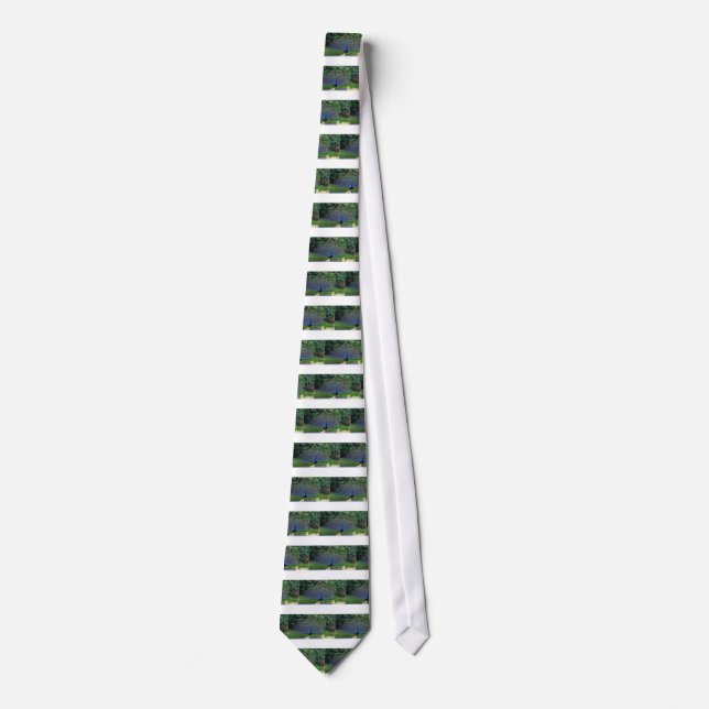Colourful Pattern Bird Peacock Art Indian Destiny Tie (Front)