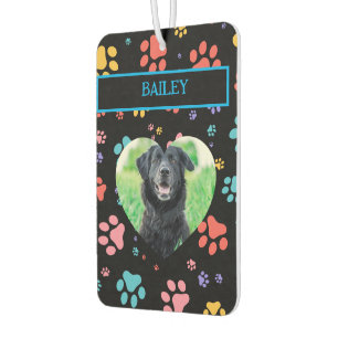 Colourful Paw Prints Dog Photo Car Air Freshener