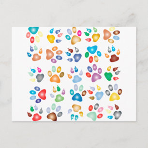 Colourful Paws Postcard