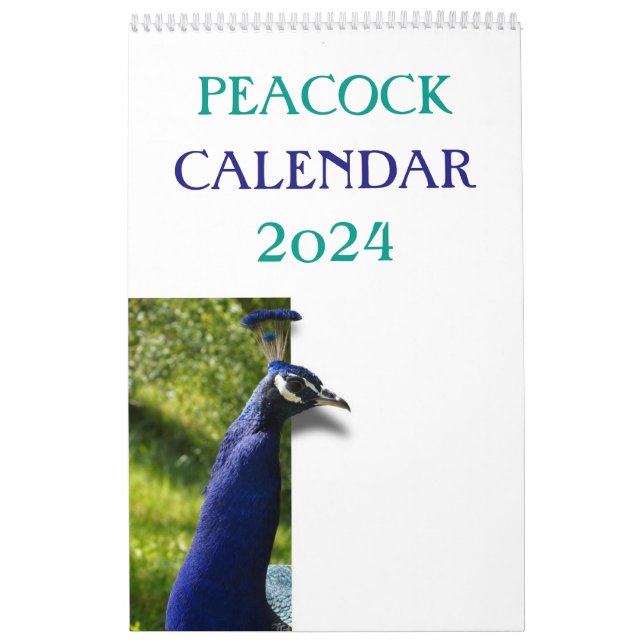 Colourful Peacock 2025 Calendar (Cover)