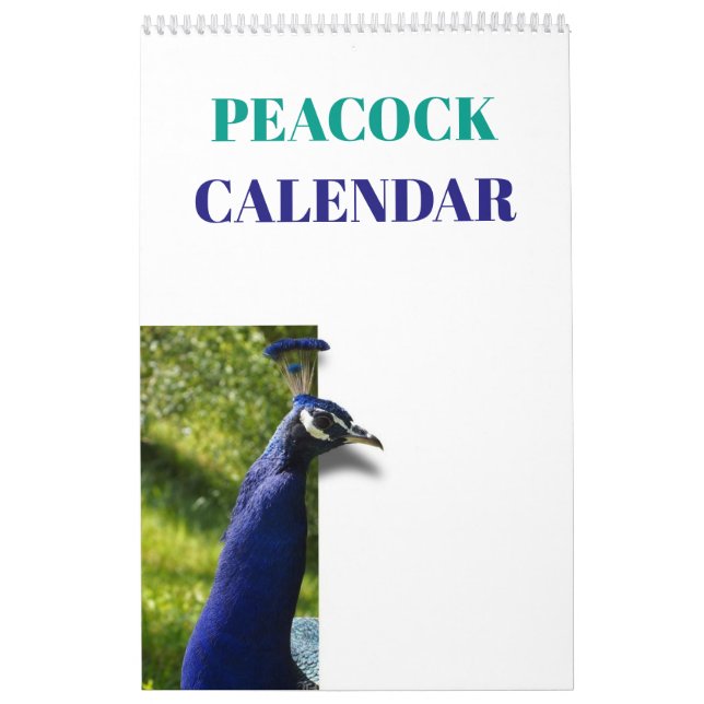 Colourful Peacock 2026 Calendar (Cover)