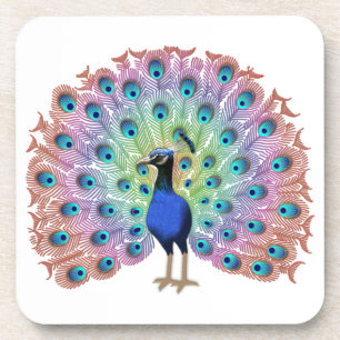 Colourful Peacock Coaster