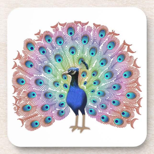 Colourful Peacock Coaster (Front)