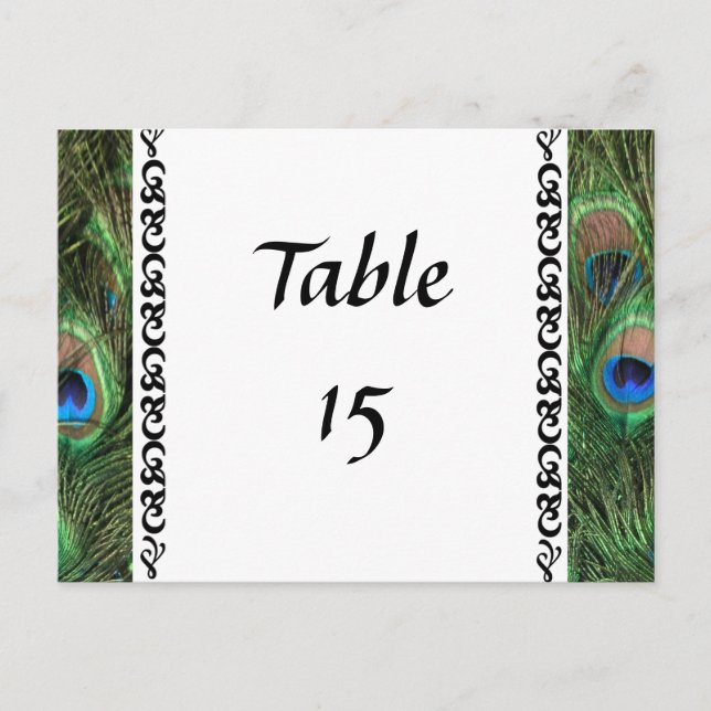 Colourful Peacock Eyes Wedding Table Numbers Postcard (Front)