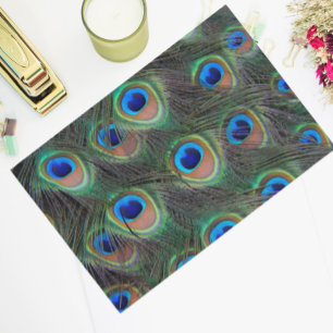 Colourful Peacock Feather Eyespot Pattern Tissue Paper