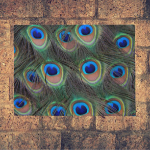 Colourful Peacock Feather Eyespots Pattern Doormat