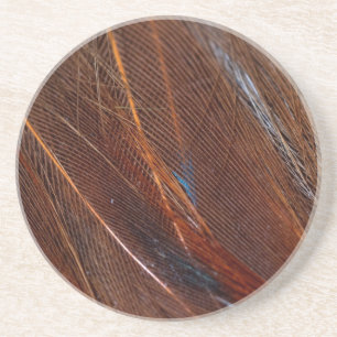 Colourful Peacock Feather in Detail Coaster