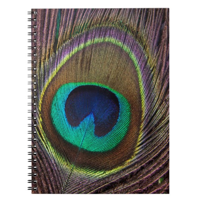 Colourful Peacock Feather Personalised Notebook (Front)