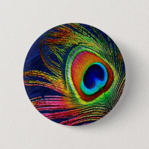 Colourful Peacock Feather Print 6 Cm Round Badge