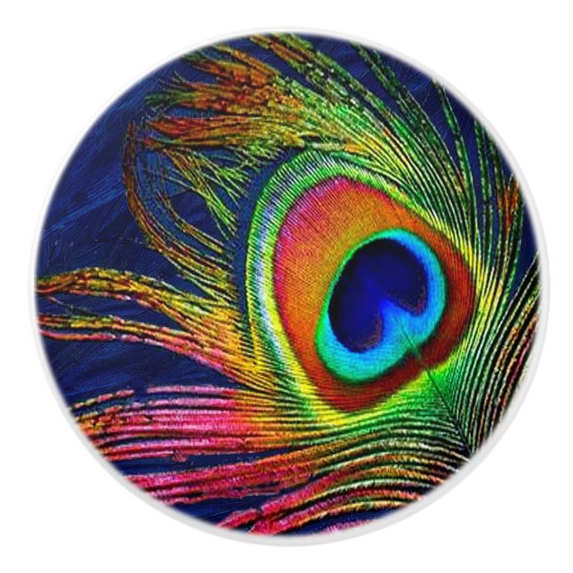 Colourful Peacock Feather Print Ceramic Knob (Front)