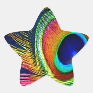 Colourful Peacock Feather Print Star Sticker