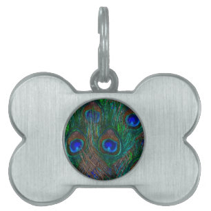 Colourful Peacock Feathers Etching Style Pet Name Tag