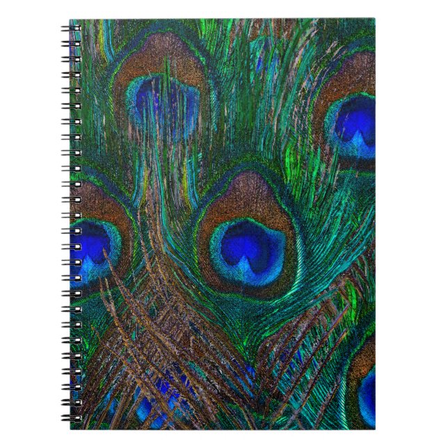 Colourful Peacock Feathers Etching Style Spiral Notebook (Front)