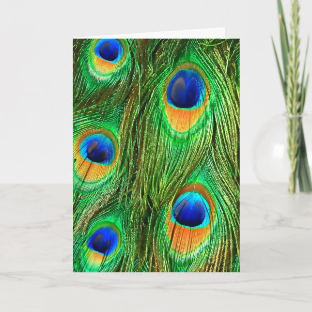 Colourful Peacock Feathers Print Card (Front)