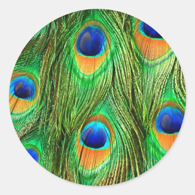 Colourful Peacock Feathers Print Classic Round Sticker (Front)