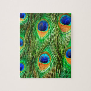Colourful Peacock Feathers Print Jigsaw Puzzle