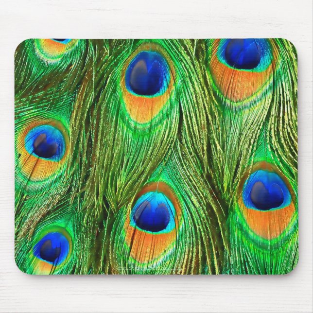Colourful Peacock Feathers Print Mouse Pad (Front)