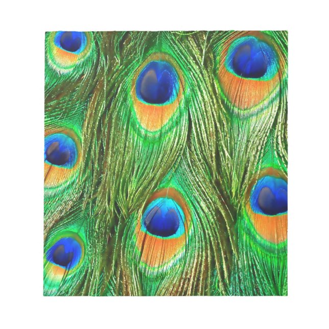 Colourful Peacock Feathers Print Notepad (Front)