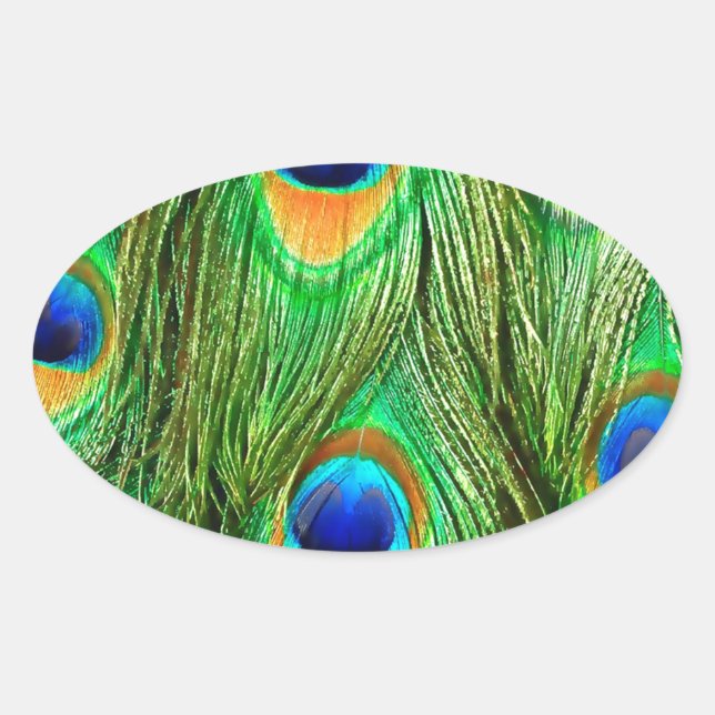 Colourful Peacock Feathers Print Oval Sticker (Front)