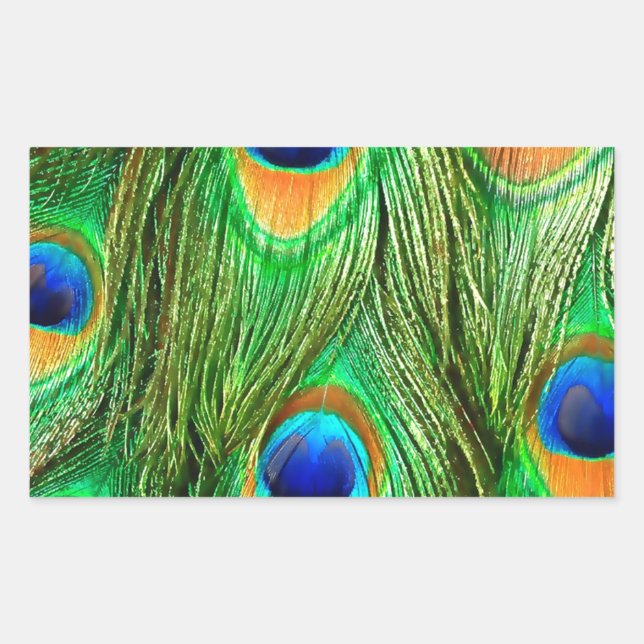 Colourful Peacock Feathers Print Rectangular Sticker (Front)