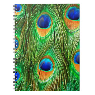 Colourful Peacock Feathers Print Spiral Notebook