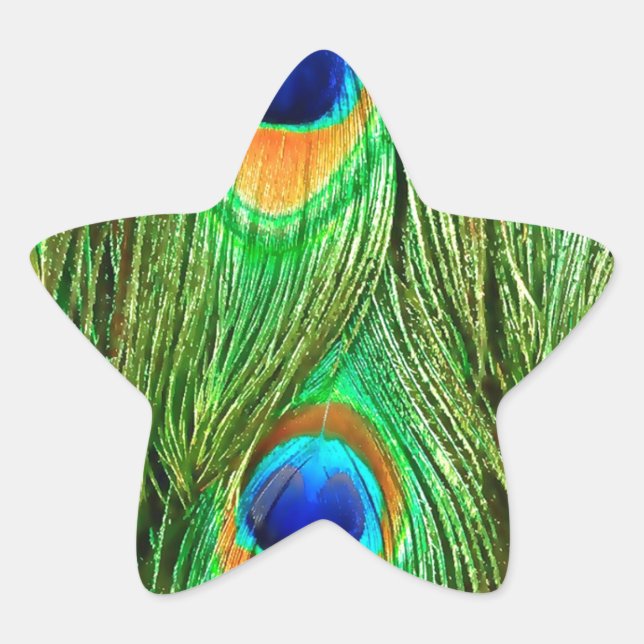 Colourful Peacock Feathers Print Star Sticker (Front)