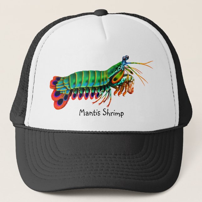 Colourful Peacock Mantis Shrimp Hat (Front)