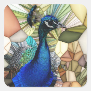 Colourful Peacock Mosaic Stickers