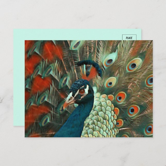 Colourful Peacock Postcard (Front/Back)