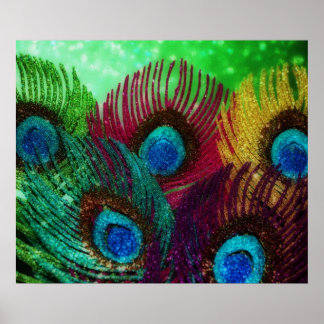Colourful Peacock Poster