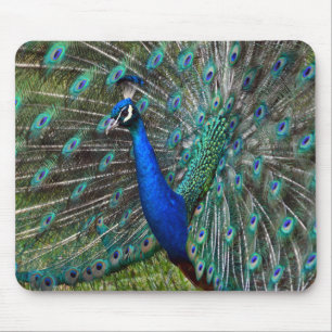 Colourful peacock print mouse pad