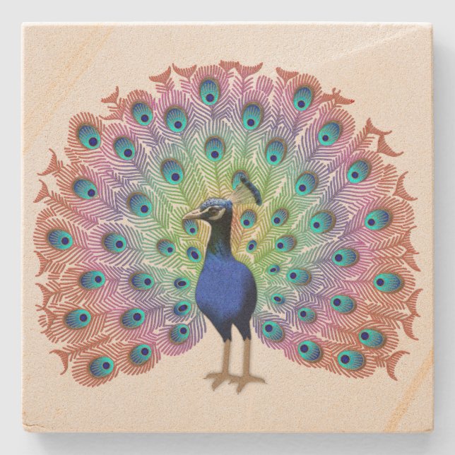 Colourful Peacock Stone Coaster (Front)