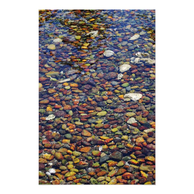 Colourful Pebbles on Hood Canal Photo Print (Front)