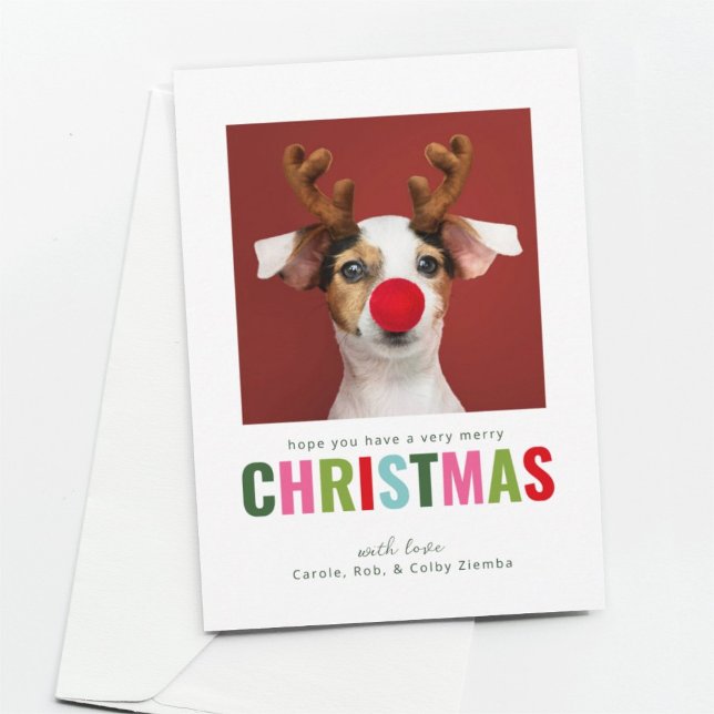 Colourful Pet Dog Cat Photo Christmas Card (Creator Uploaded)
