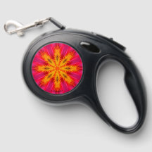 Colourful Pet Leash