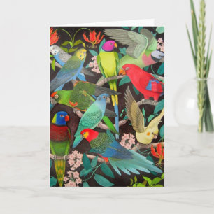 Colourful Pet Parrots of the World Card