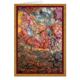 Colourful petrified wood