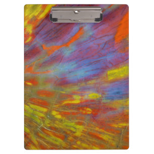 Colourful Petrified Wood close-up Clipboard