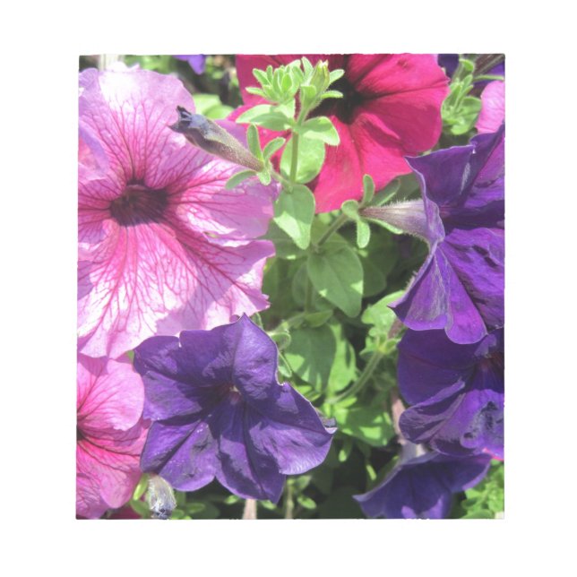 Colourful Petunias Notepad (Front)