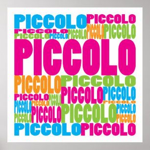 Colourful Piccolo Poster